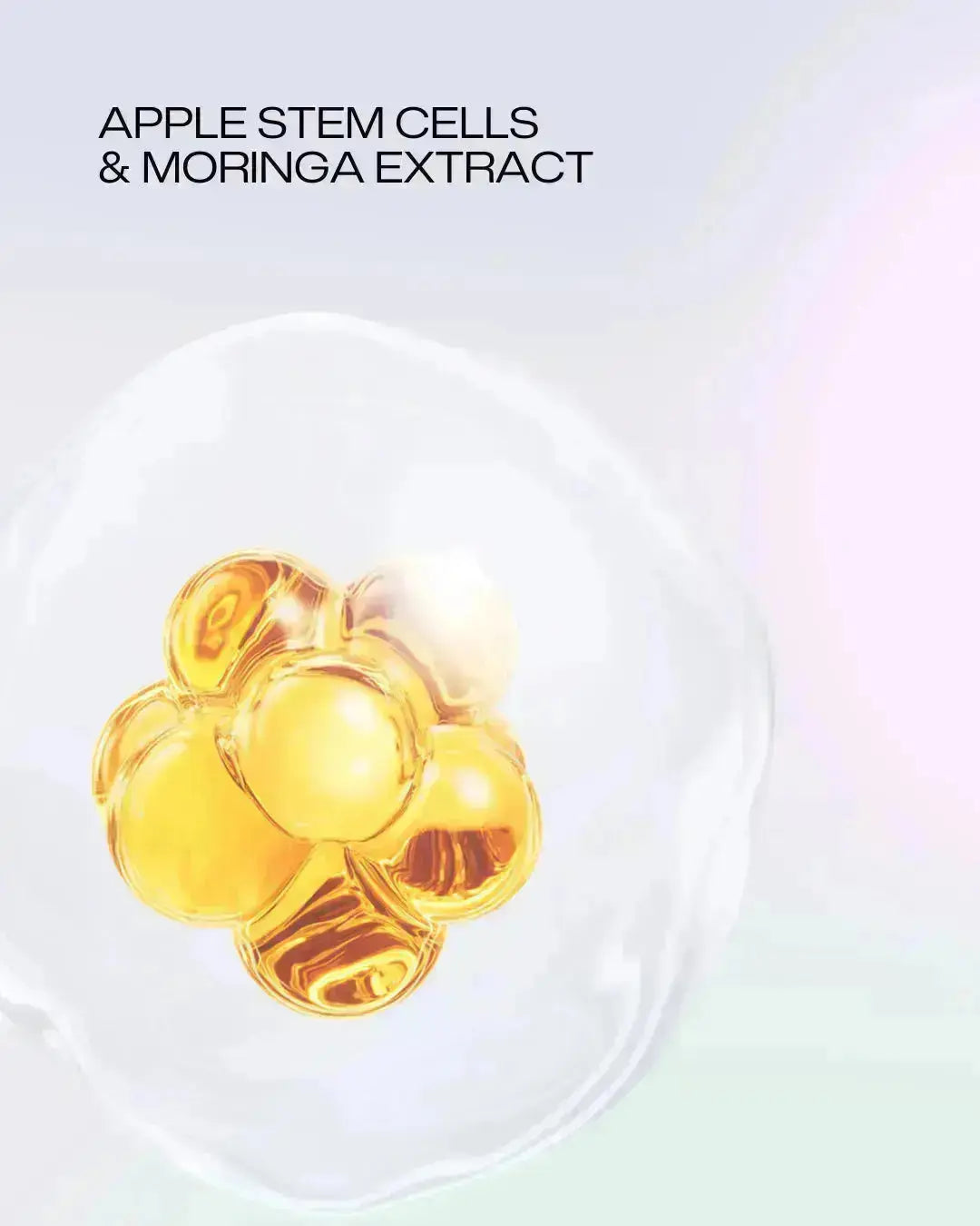 Collagen Firming Cream