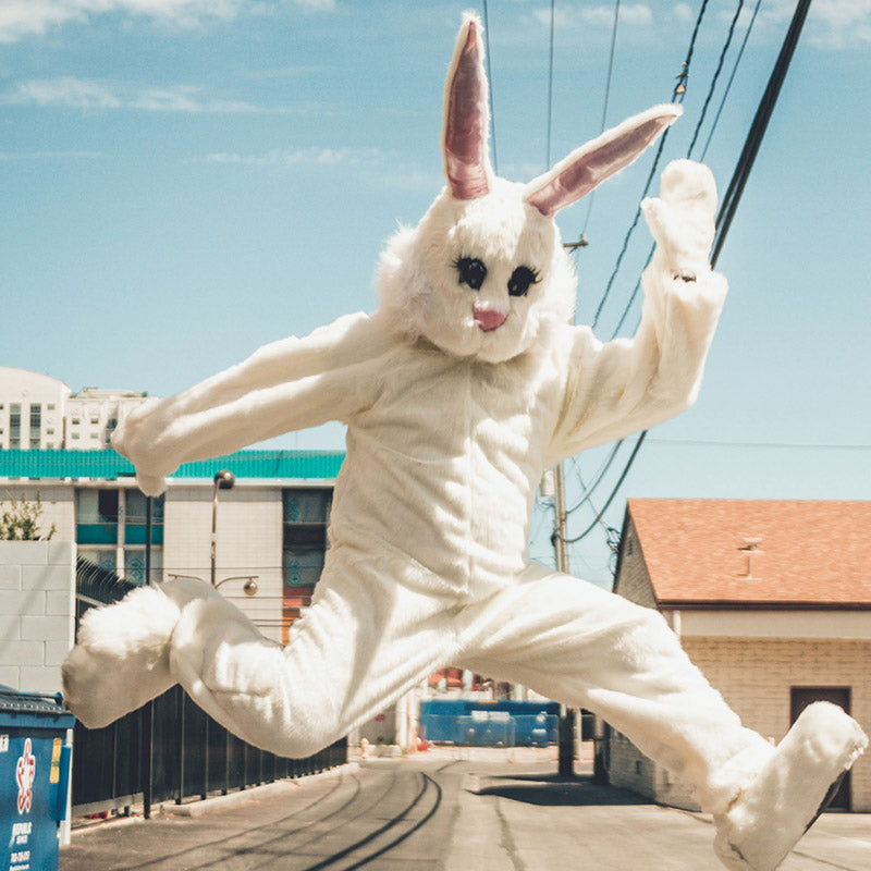 Monegal Wonderland Spray