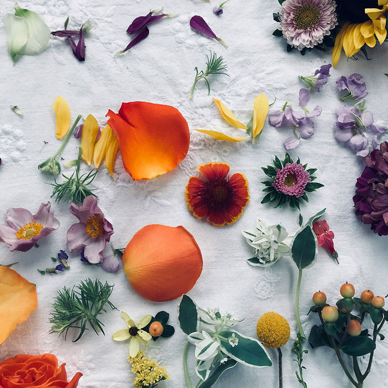 Monegal Wonderland Set