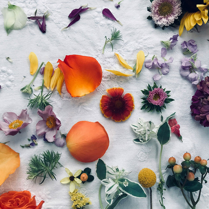 Monegal Wonderland Set